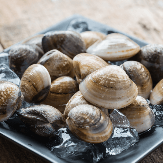 Clams