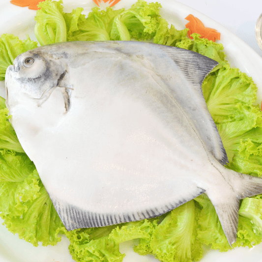 Big Size Pomfret
